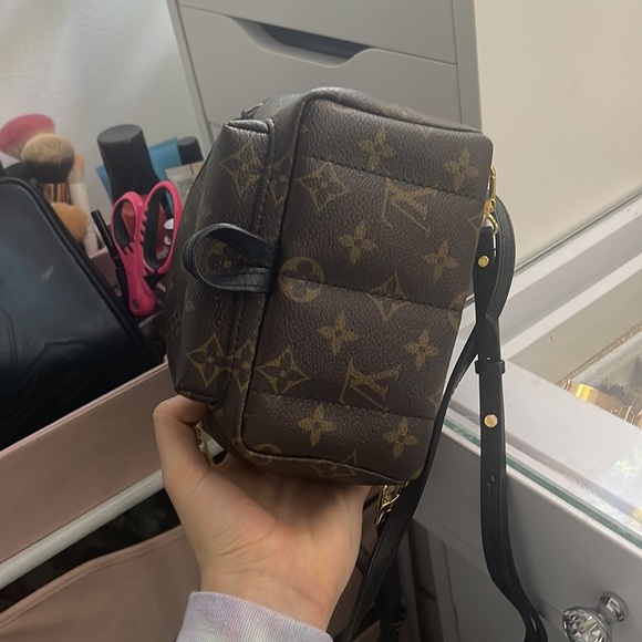 Louis Vuitton Palm Springs Mini - Picture 5 of 8